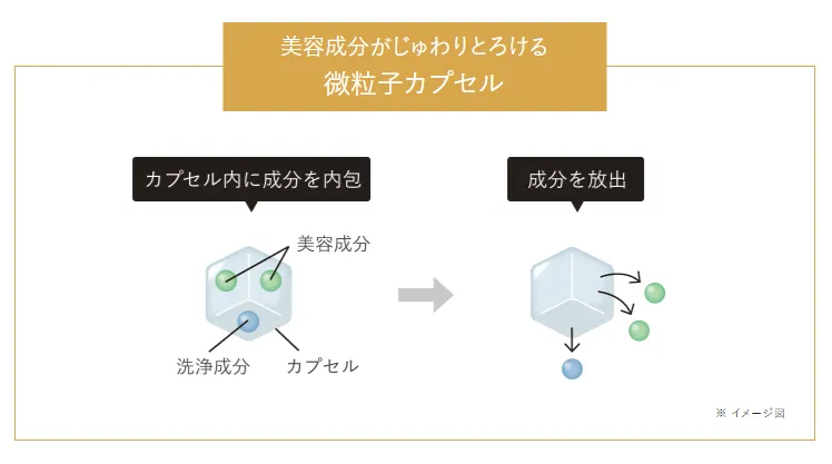 DUOザクレンジングバームクリアの設計(大小2種の微粒子カプセル)