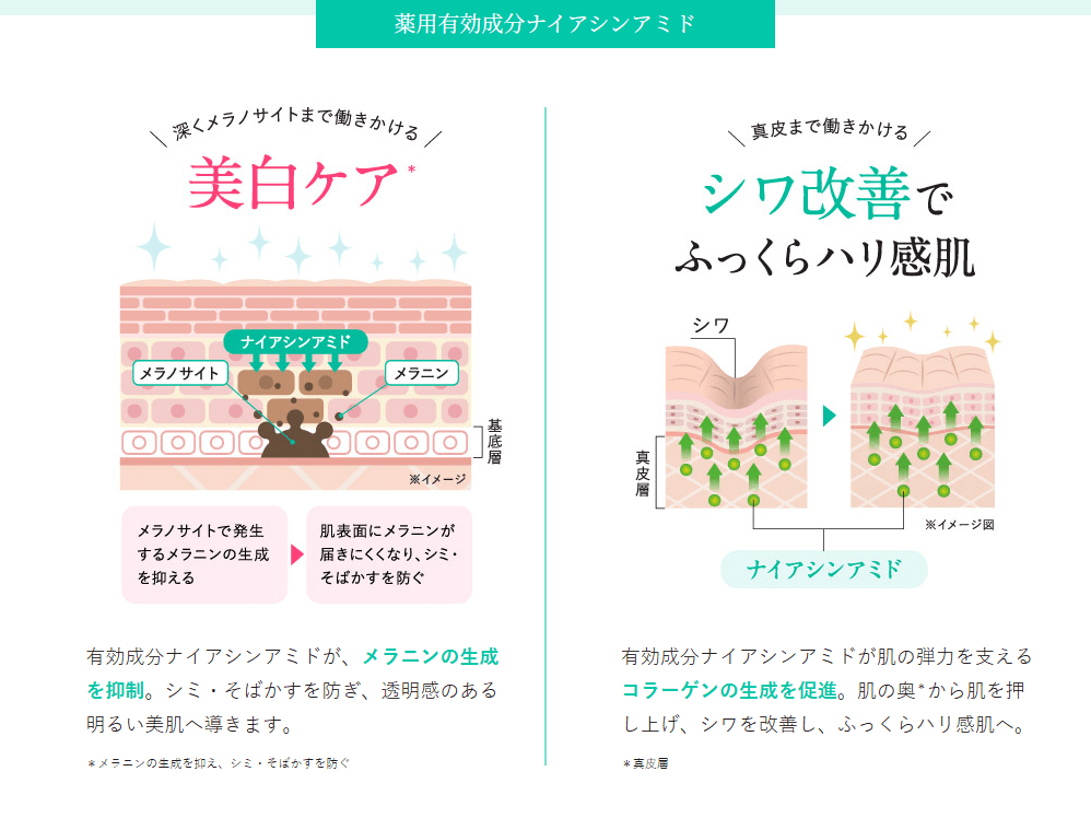 カナデル プレミアバリアフィックスに配合されている薬用有効成分ナイアシンアミド※の解説
ナイアシンアミドは、厚生労働省がシワ改善・美白を承認した医薬部外品有効成分