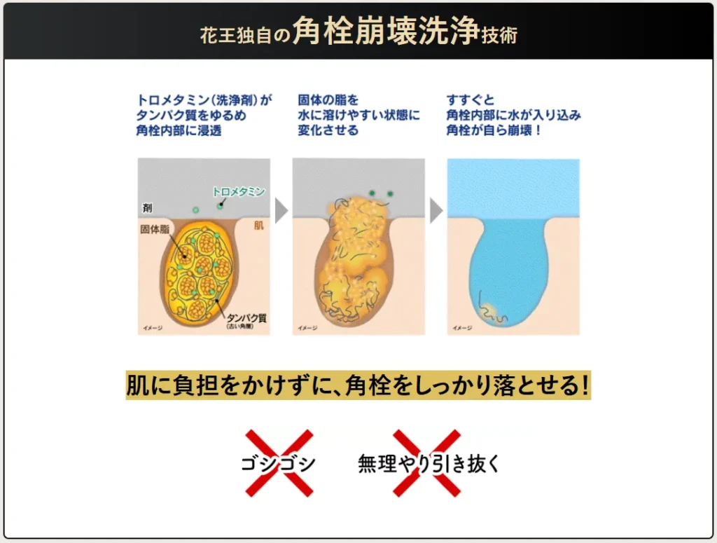 花王独自の角栓崩壊洗浄技術のイメージ