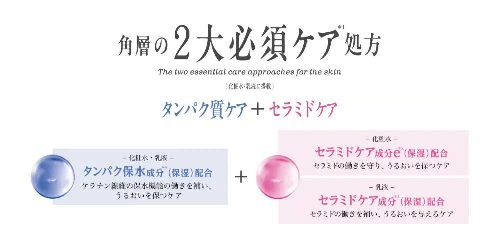 ソフィーナベーシックの2大必須ケア