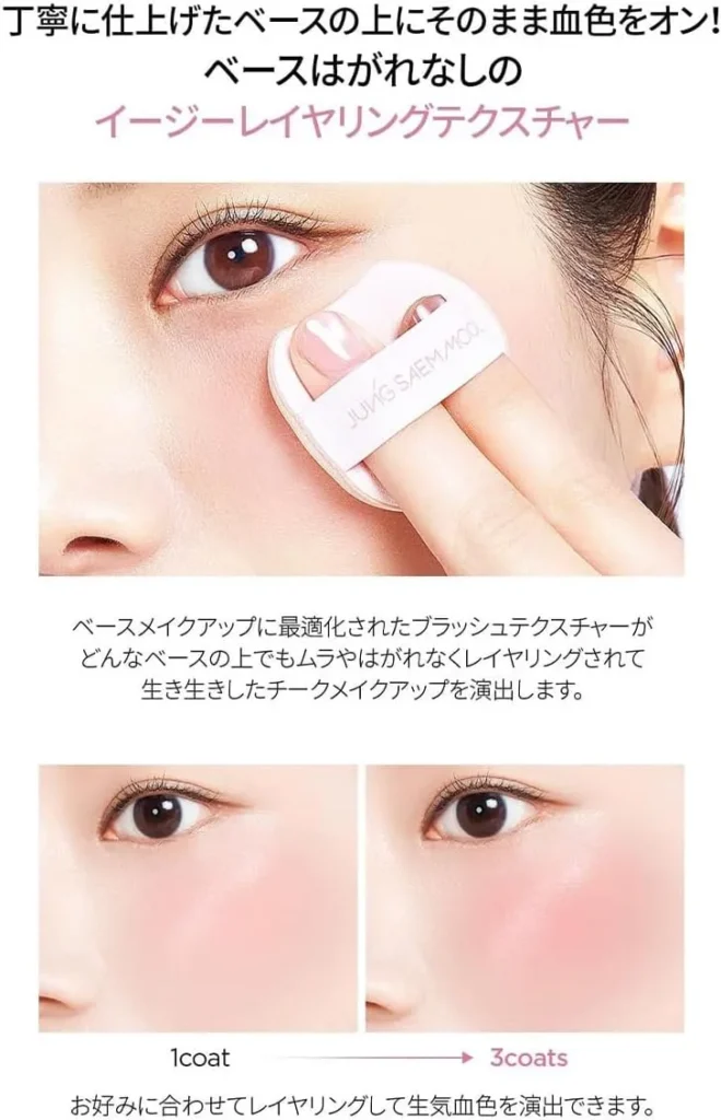 アーティスト クッション ブラッシュの使用イメージ